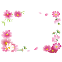 Flower Frame Autumn Others Cosmos Png.Png