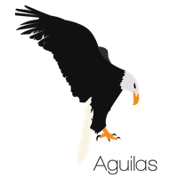 Eagle Bald Euclidean Vector Graphics Logo