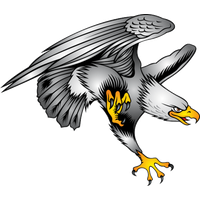 Eagle Designs Tattoo Symbol Bald Illustration