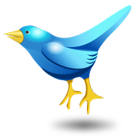 Vector Twitter Tweet Bird PNG Image High Quality