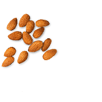 Almond Picture