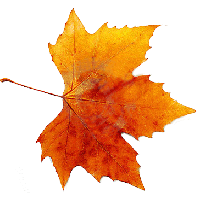 Autumn Png Picture