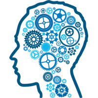 Brain Png Picture