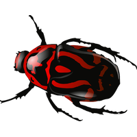 Bug Png 5