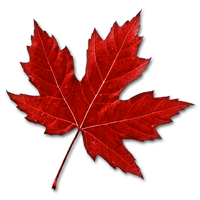 Canada Leaf Png Image