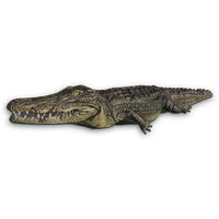 Crocodile Png File