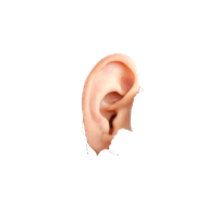 Ear Free Download Png