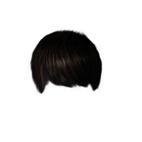 Hairstyles Png Pic