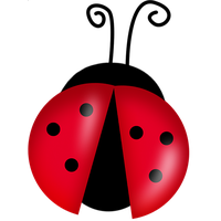 Ladybug Png File
