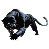 Panther Png