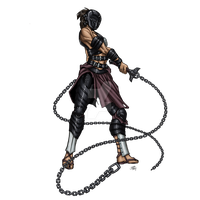 Shadow Warrior Png Picture
