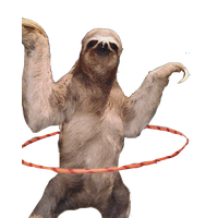 Sloth Png Hd