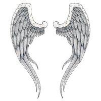 Wings Tattoos Png Image