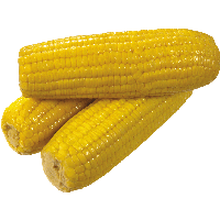 Yellow Corn Png Image
