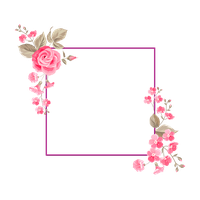 And Flower Portable Floral Vector Design Graphics