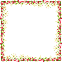 And Picture Flower Frame Frames Borders