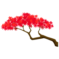 Plants Maple Tree Illustration Branch Free Clipart HD
