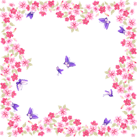 Butterfly Color Frame Pink Flower Free HQ Image