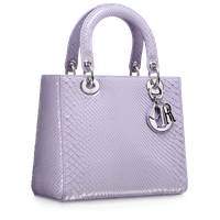Christian Dior Handbag Lady Chanel Se