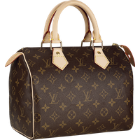 Vuitton Louis Bag Gucci Handbag Chanel