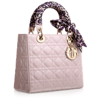 Fashion Christian Dior Handbag Lady Chanel Se