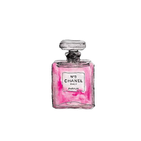 Pink Mademoiselle No. Painted Perfume Coco Chanel