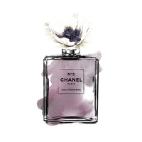 Chanel Perfume HQ Image Free PNG