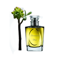 Oil Christian Chanel Designer Dior Perfume Essential