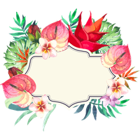 Frame Flower Colorful PNG Free Photo