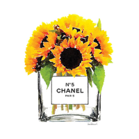 Flower Sunflower Bouquet Photography Common Chanel Stock