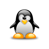 Samba Installation Servers Computer Build Linux Software