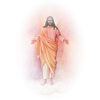 Mercy Christ Heart Jesus Sacred Divine