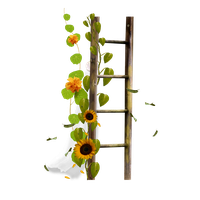 Flower Stairs Ladder Drawing Border Sticker