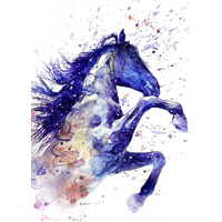 Tattoo Horse Ritmeester Watercolor Painting Drawing