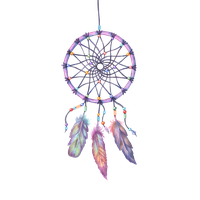 Dreamcatcher Purple Illustration Watercolor Painting Drawing