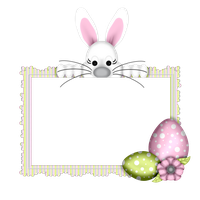 Bunnies Hare Easter Photography Egg Bunny
