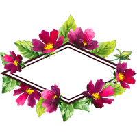 Flower Purple Frame Illustration Design Floral