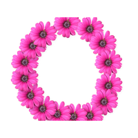 Cut Art Flower Design Floral Flowers Pixel
