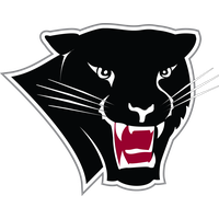 Basketball Panther Institute Of Football Florida Women'S