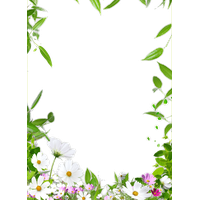 Picture Ceiling Flower Frame Border Drawing