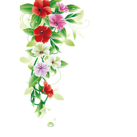Flower Border Free Photo PNG