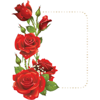 Picture Flower Rose Frame File Red