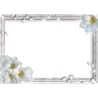 File White Flower Frame Wallpaper PNG File HD