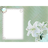 White Flower Frame Transparent Free Photo PNG