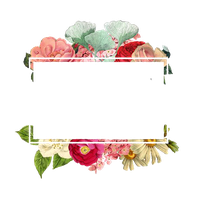 Paper Logo Flowers Flower Border Free Download PNG HQ