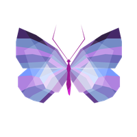 Butterfly Lilac Geometry Color Vector Graphics Drawing