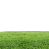 Lawn Grass PNG Download Free