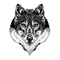 Gray Art Langtou Illustration Tattoo Wolf Drawing