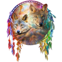 Gray Art Dreamcatcher Craft Wolf Painting