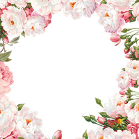 Painted Material Frame Flower Hand PNG Image High Quality